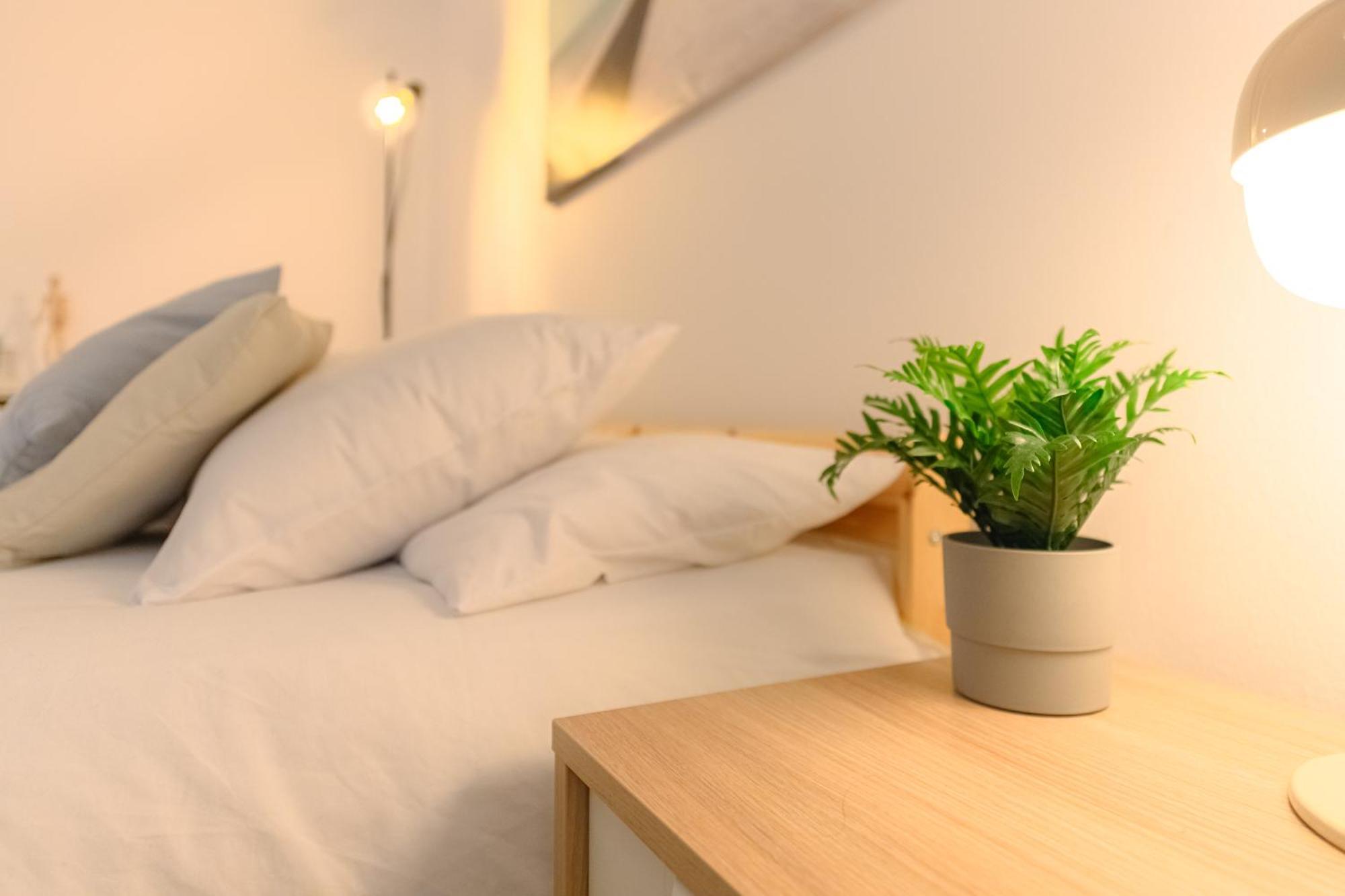 Apartament En El Centro De